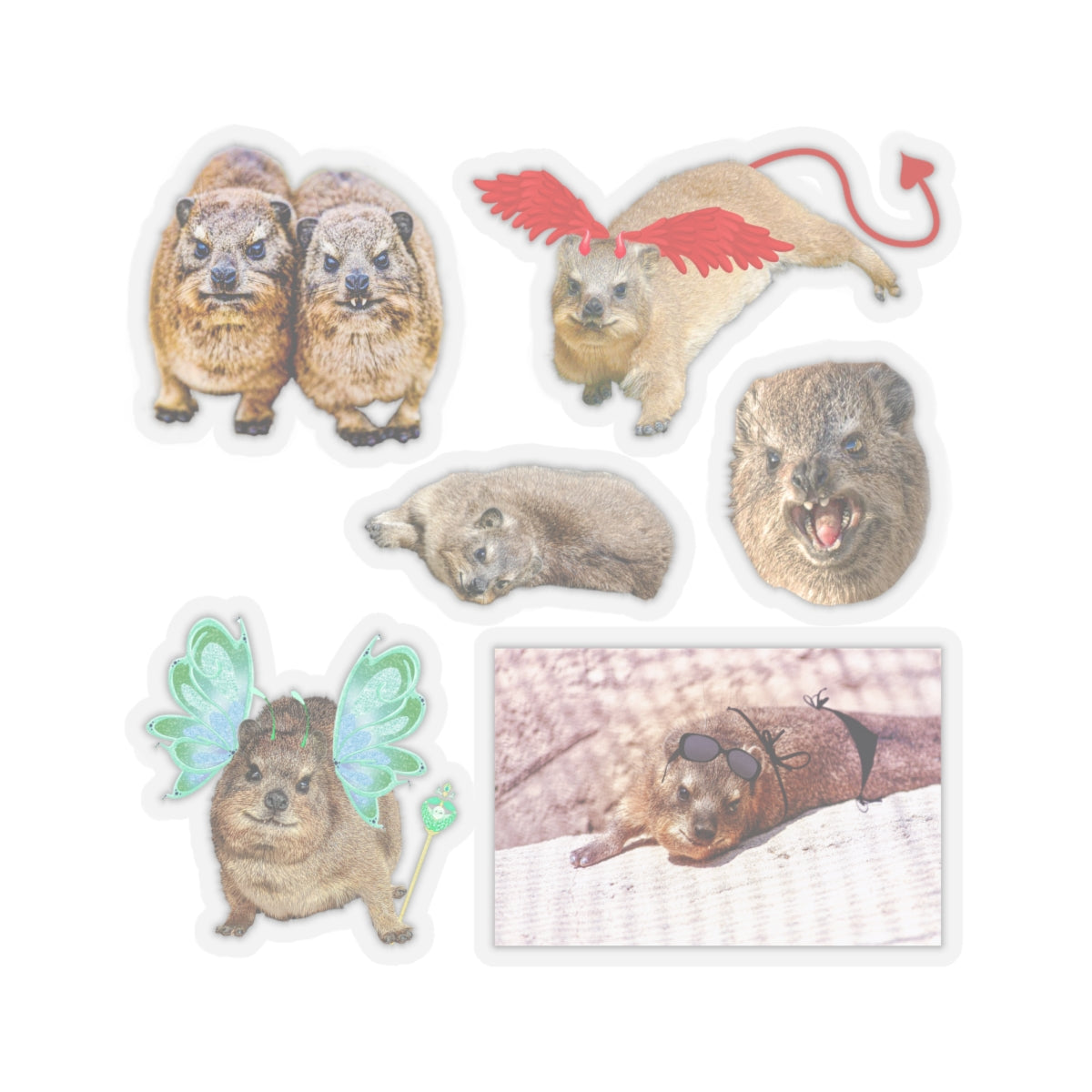 Set of Hyrax Kiss-Cut Stickers