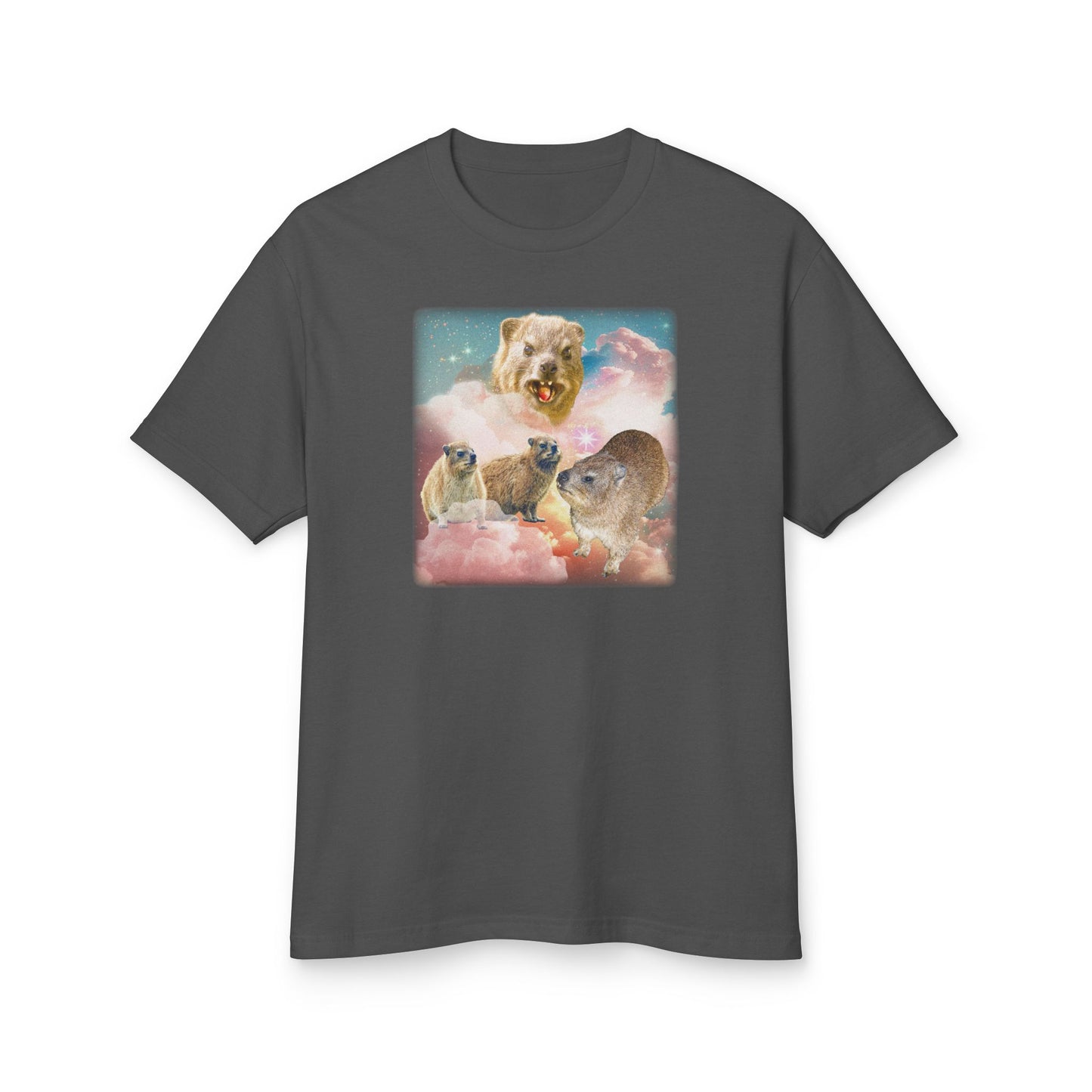 Hyrax Retro Pink Sky 2.0 Vintage Unisex Ugly Tee