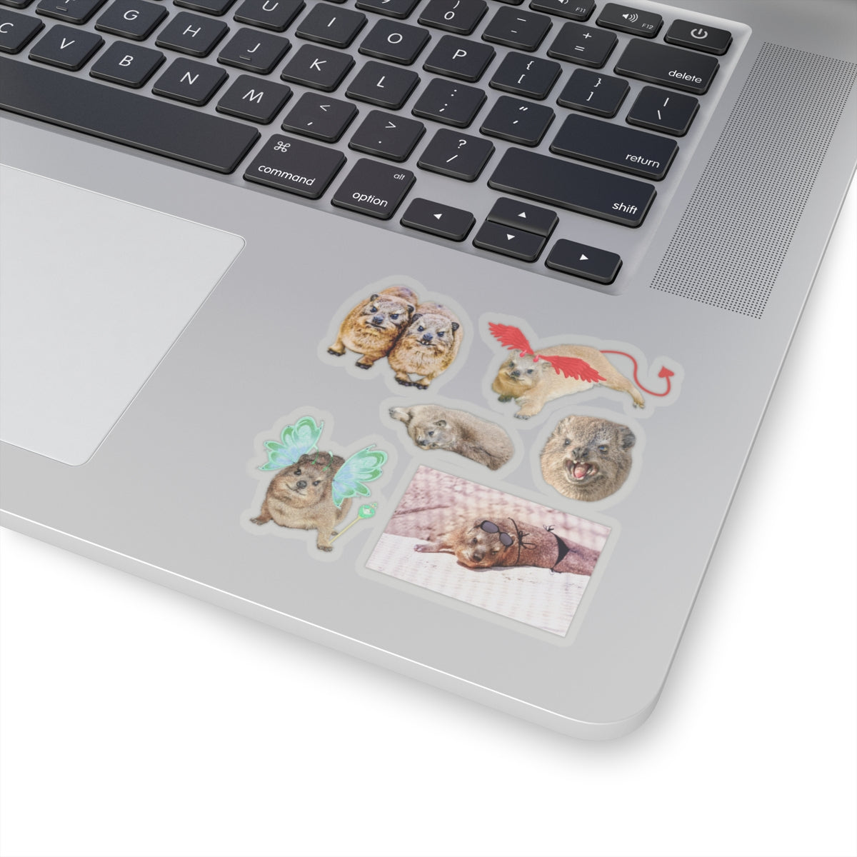 Set of Hyrax Kiss-Cut Stickers