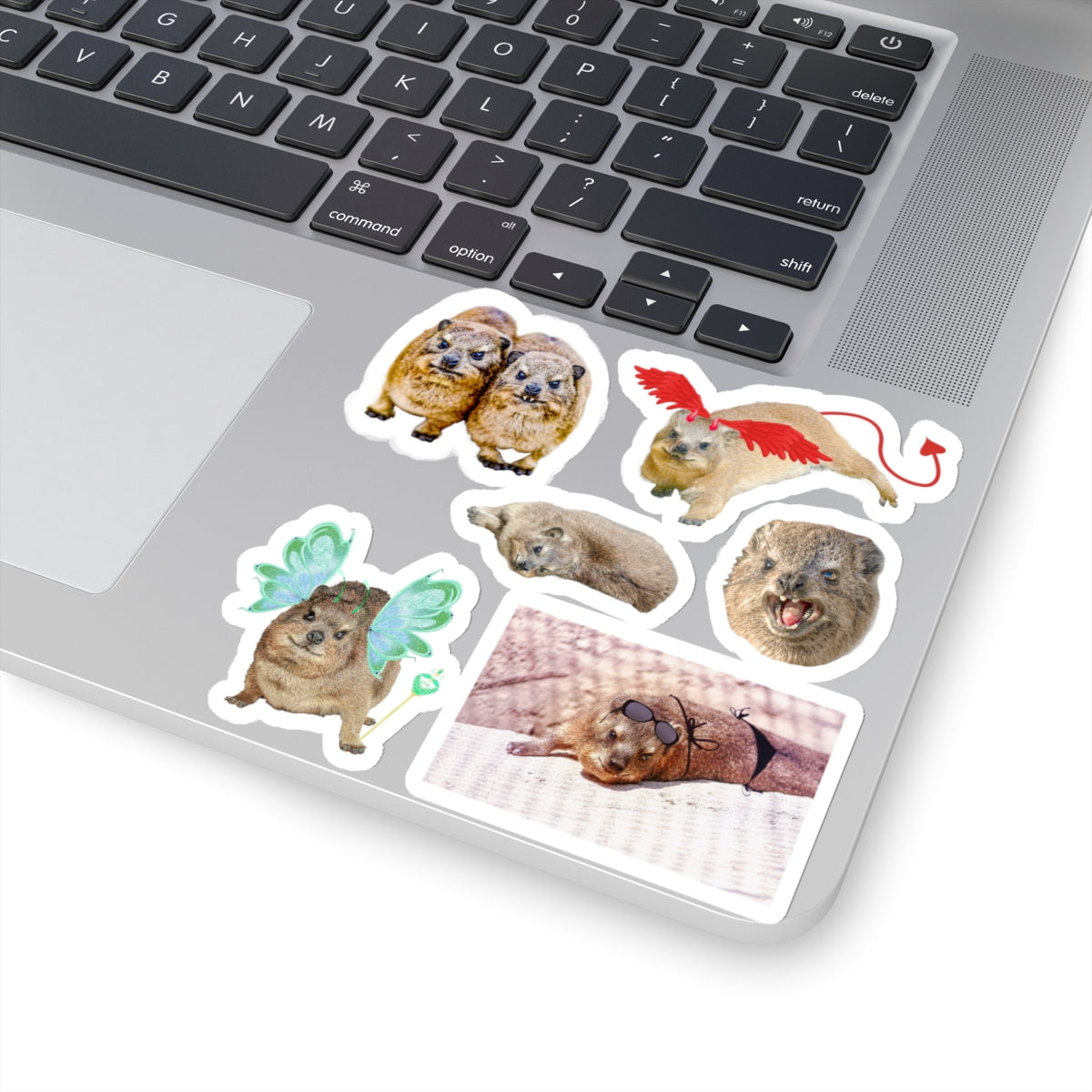 Set of Hyrax Kiss-Cut Stickers