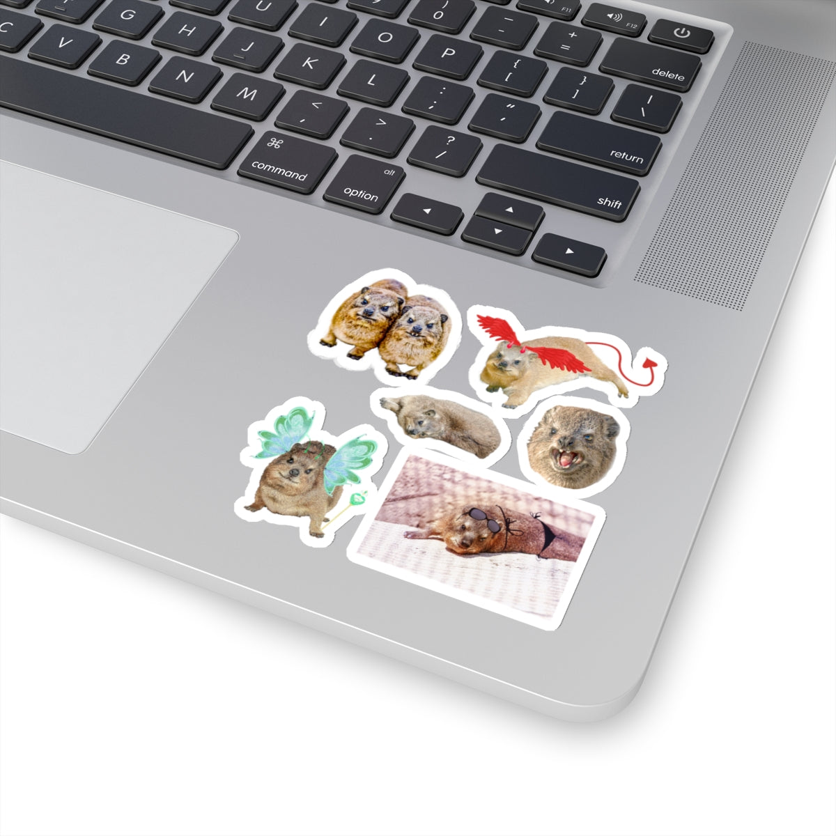 Set of Hyrax Kiss-Cut Stickers