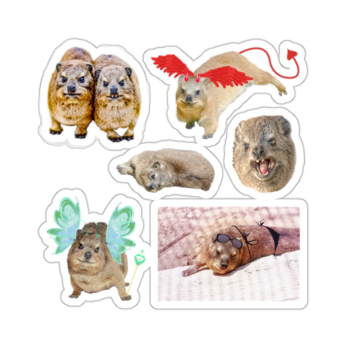 Set of Hyrax Kiss-Cut Stickers