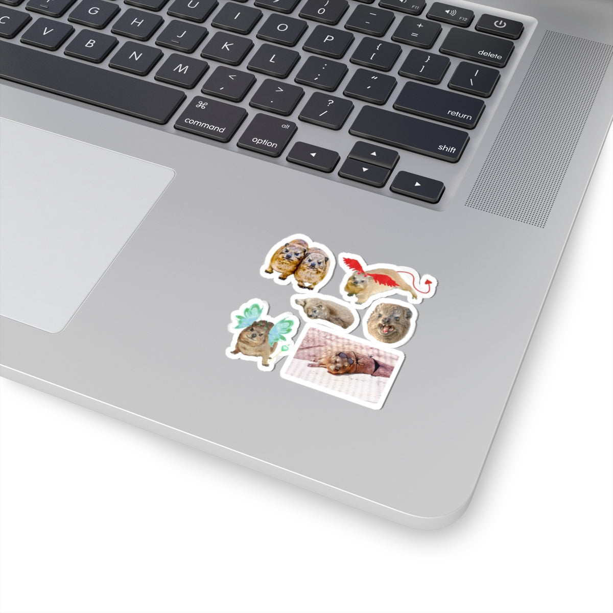 Set of Hyrax Kiss-Cut Stickers