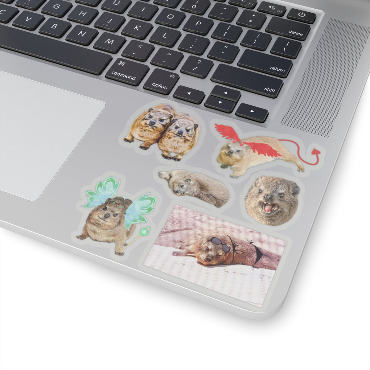 Set of Hyrax Kiss-Cut Stickers