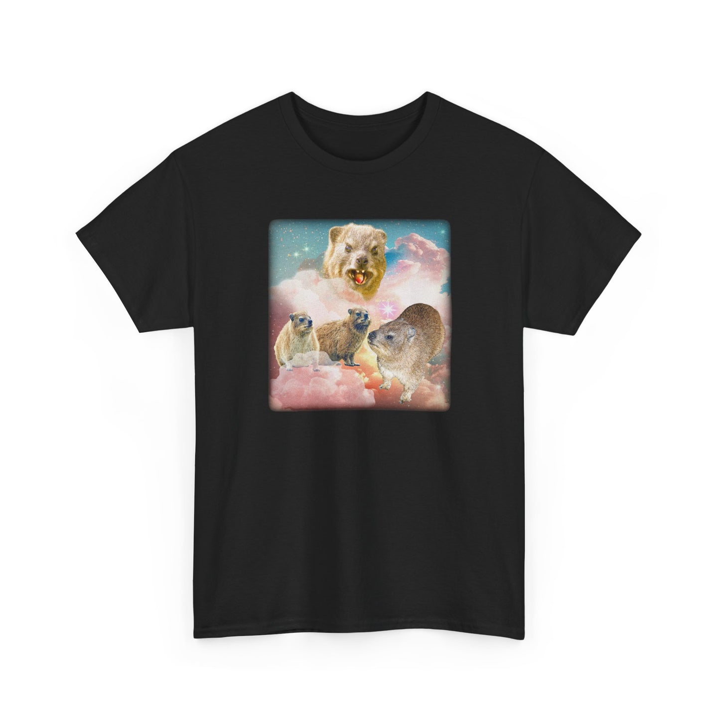 Hyrax Retro Pink Sky 2.0 Vintage Unisex Ugly Tee